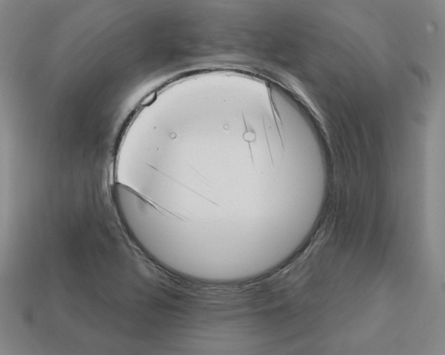 X0000112761320200910011207