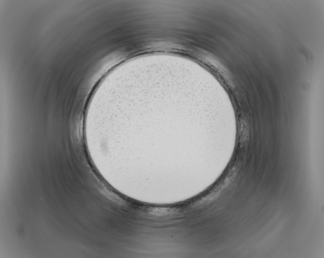 X0000112761322200910011207