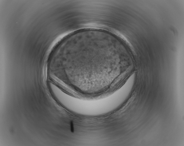 X0000112761323200910011207
