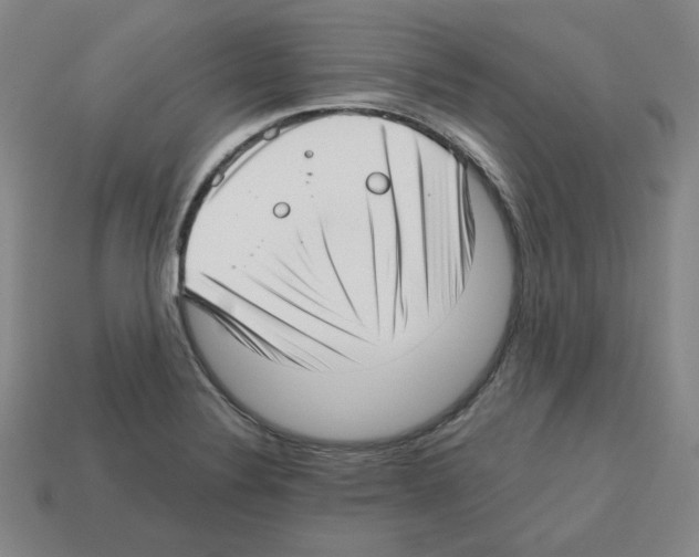 X0000112761324200910011207