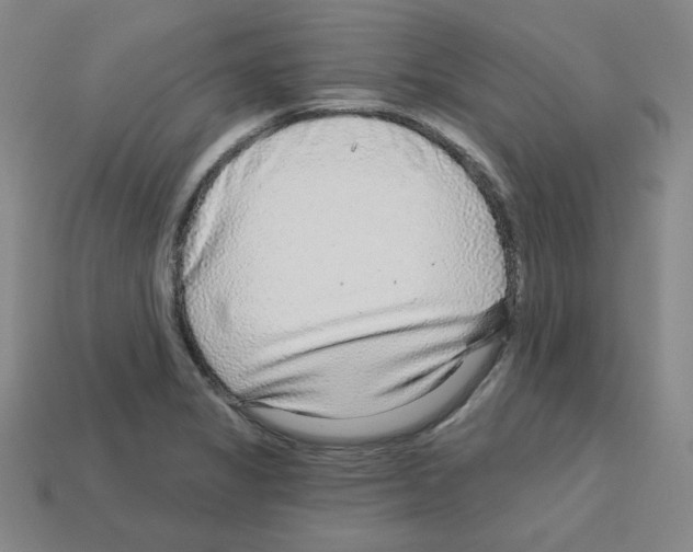 X0000112761325200910011207