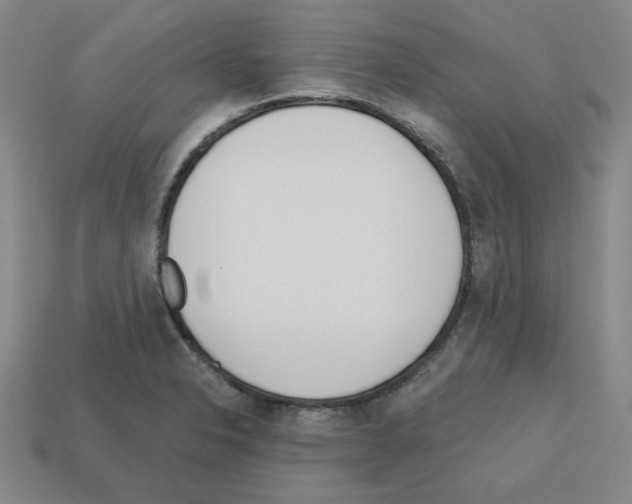 X0000112761326200910011207