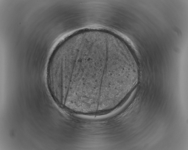 X0000112761327200910011207