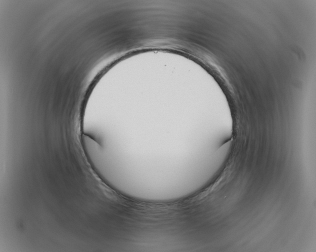 X0000112761328200910011207