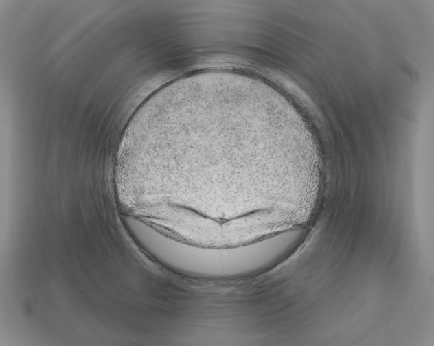 X0000112761329200910011207