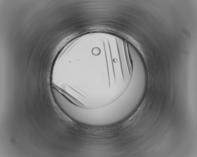 X0000112761330200910011207