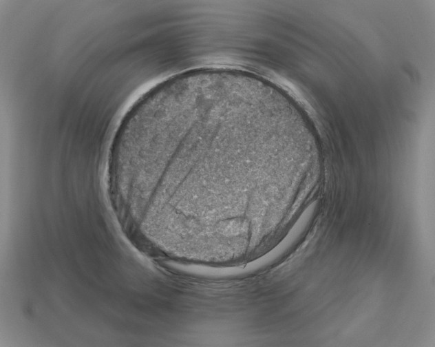 X0000112761331200910011207
