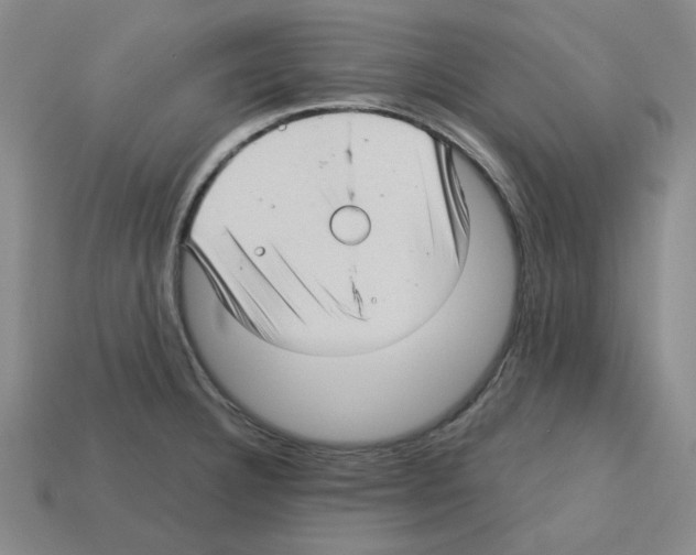 X0000112761332200910011207