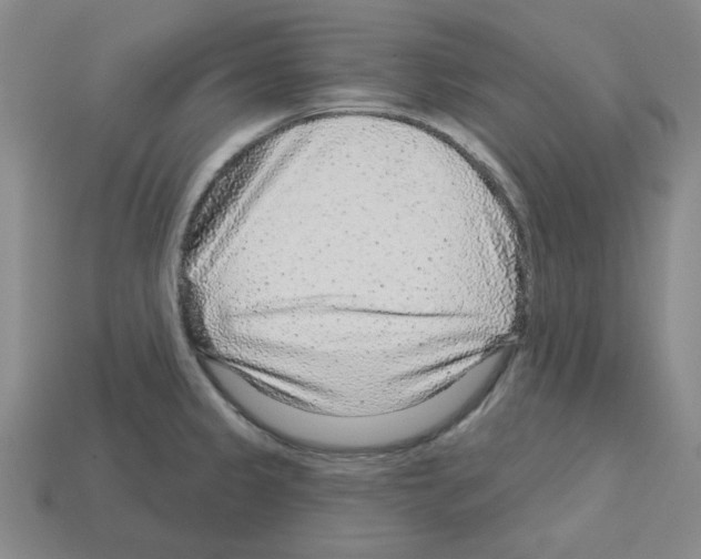 X0000112761333200910011207