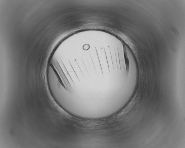 X0000112761334200910011208