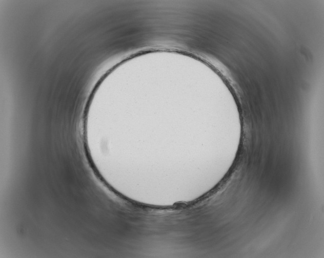 X0000112761335200910011208