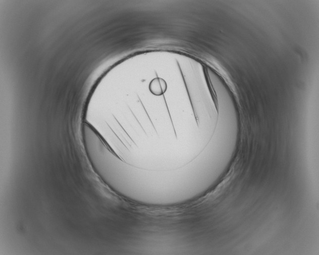 X0000112761336200910011208