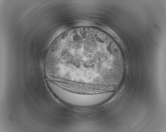 X0000112761337200910011208