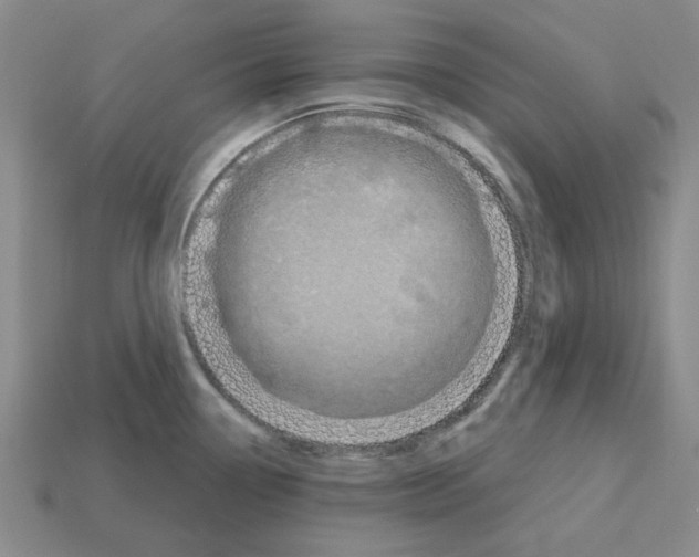 X0000112761338200910011208