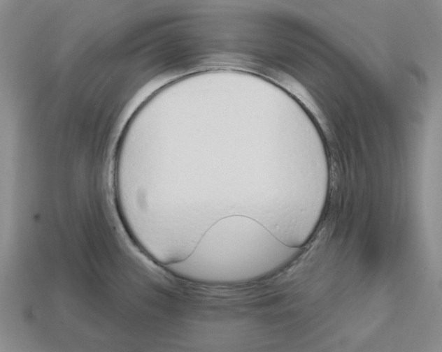 X0000112761339200910011208