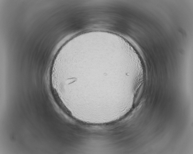 X0000112761341200910011208