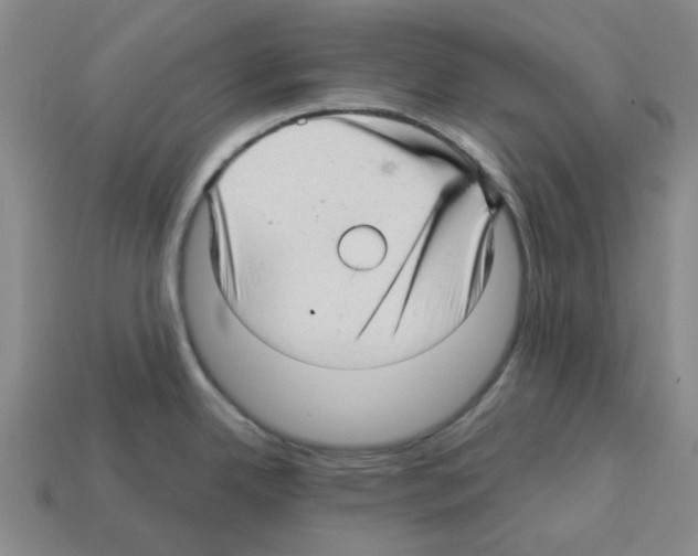 X0000112761342200910011208