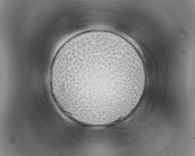 X0000112761343200910011208