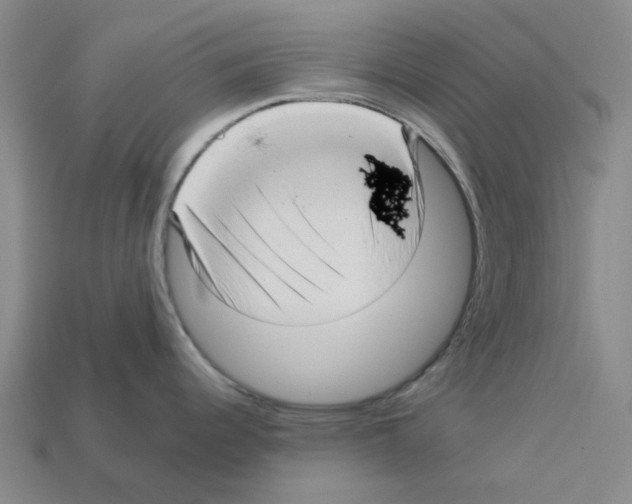 X0000112761344200910011208
