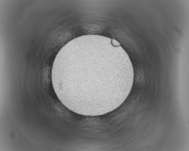 X0000112761346200910011207