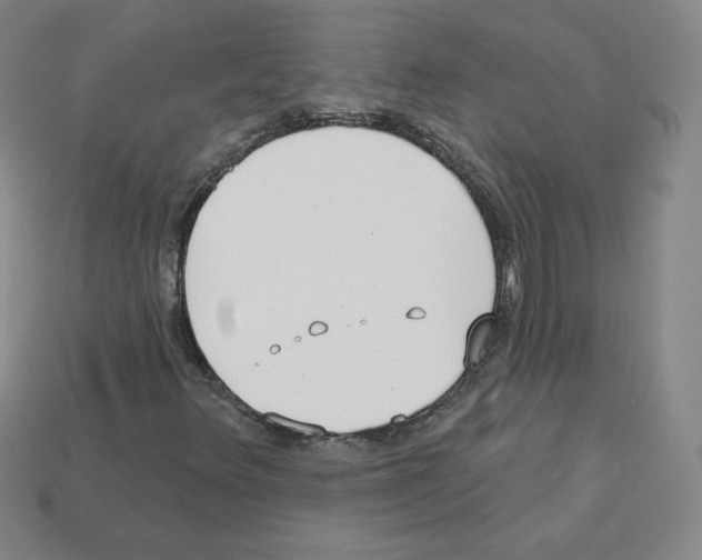 X0000112761348200910011207