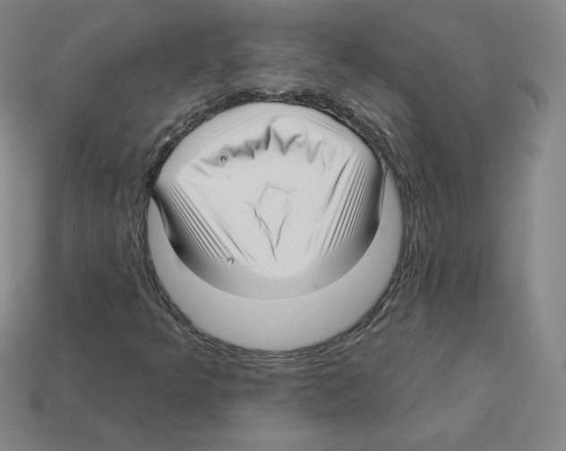 X0000112761349200910011207