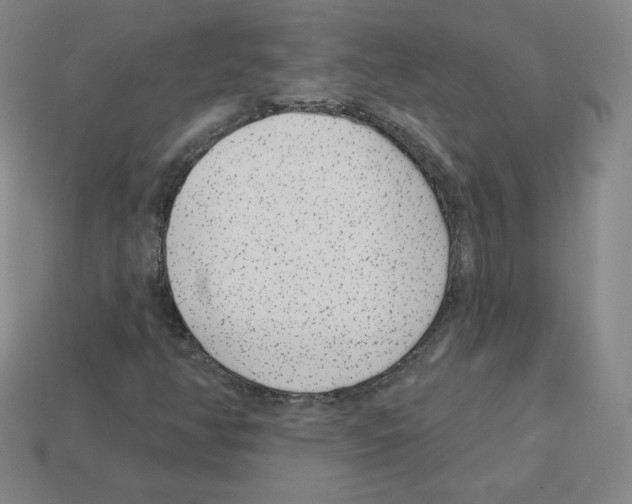 X0000112761350200910011207