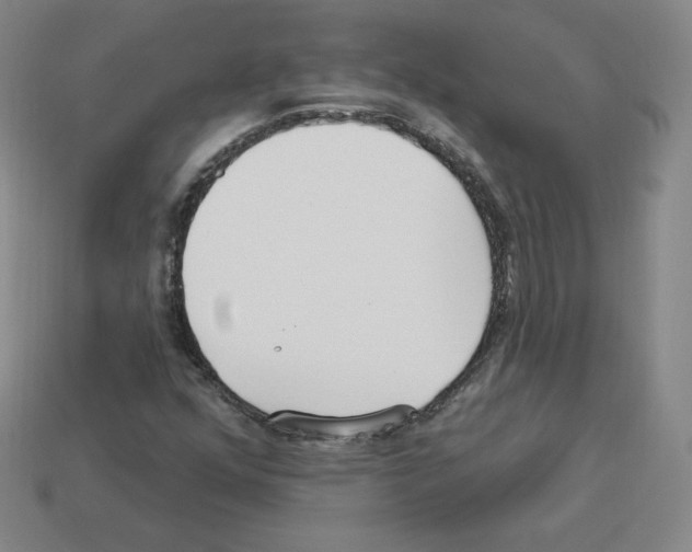 X0000112761352200910011207