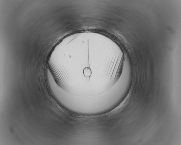 X0000112761353200910011207