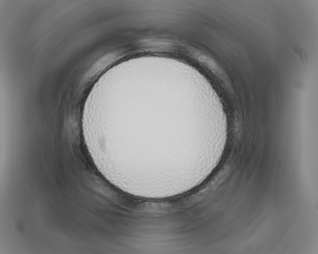 X0000112761354200910011207