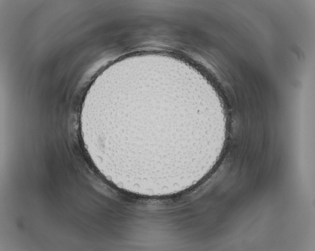 X0000112761355200910011207