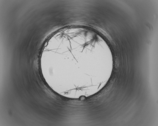 X0000112761356200910011207