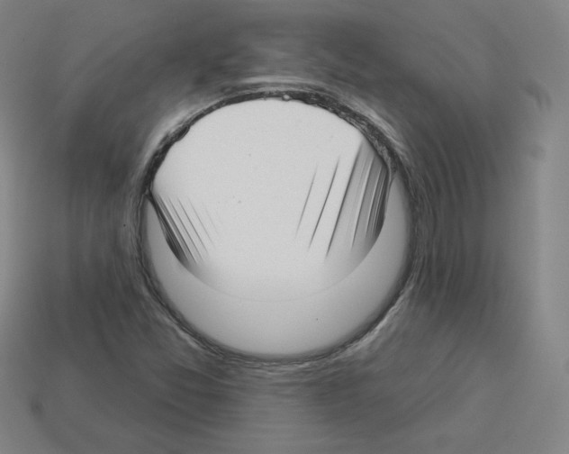 X0000112761357200910011207
