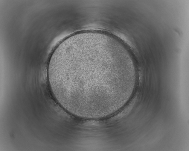 X0000112761358200910011207