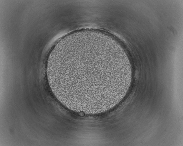 X0000112761359200910011207