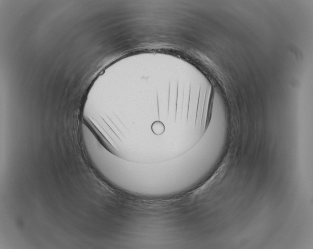 X0000112761361200910011207