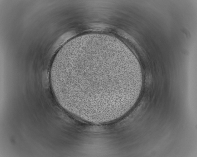 X0000112761362200910011207