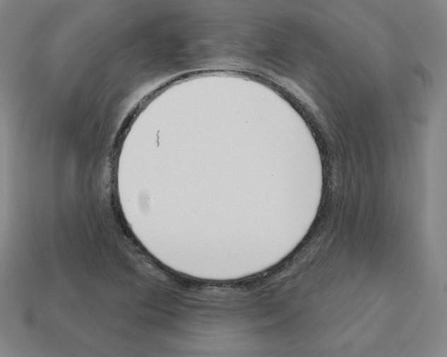 X0000112761364200910011207