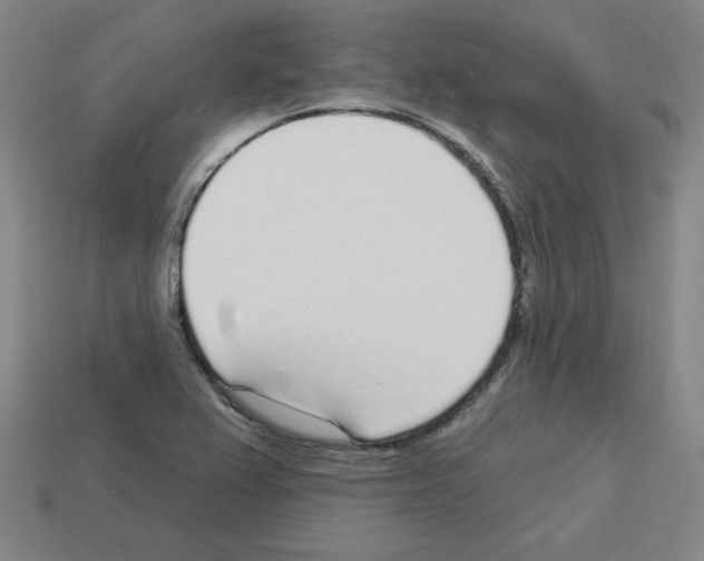 X0000112761367200910011207