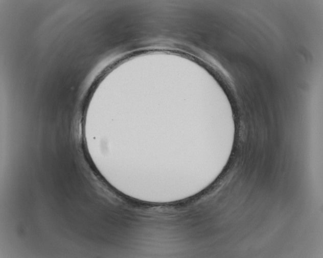 X0000112761368200910011207