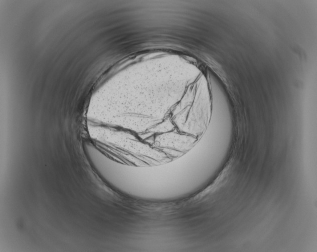X0000112761369200910011207