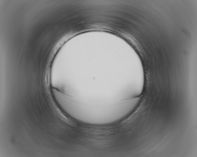 X0000112761371200910011207