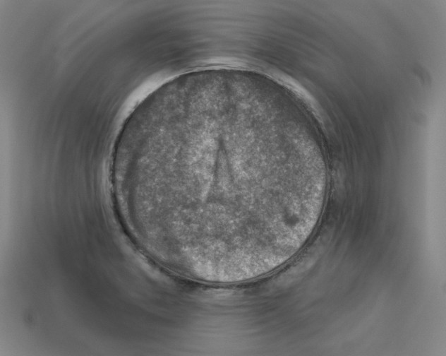 X0000112761373200910011207