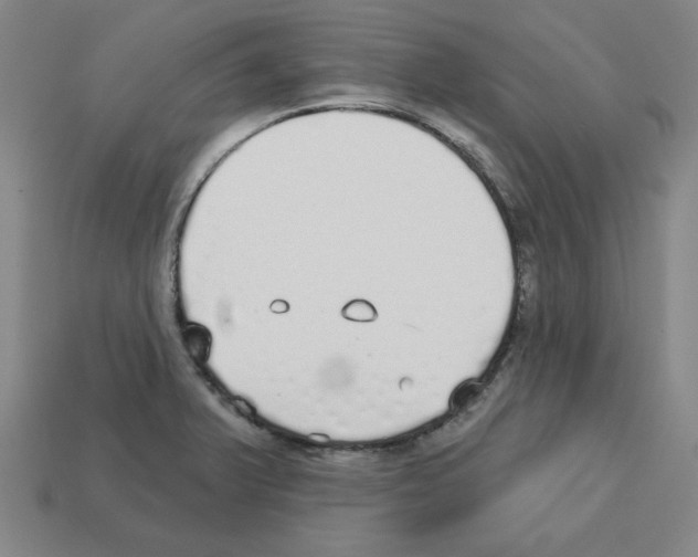X0000112761375200910011207