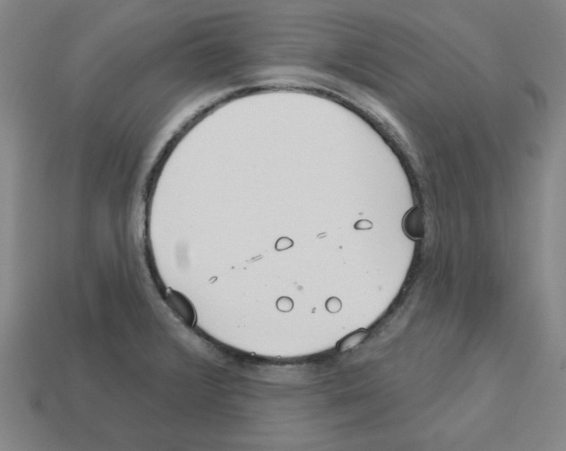 X0000112761376200910011207