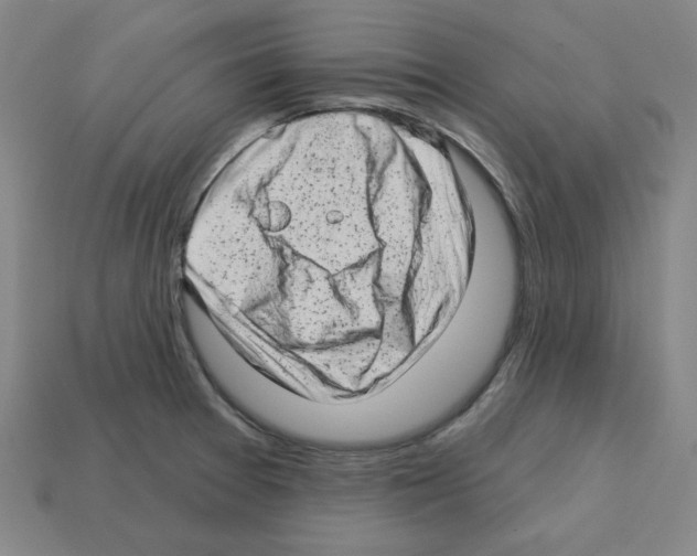 X0000112761377200910011207