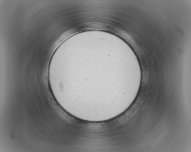 X0000112761378200910011207