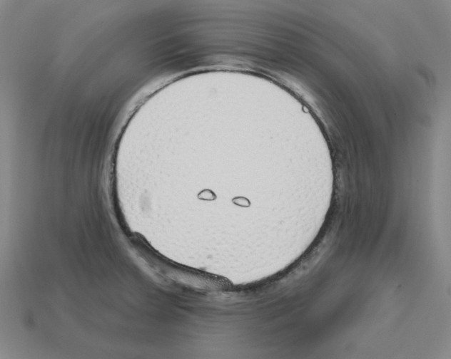 X0000112761379200910011207