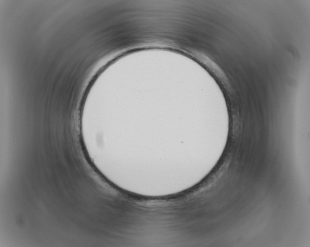 X0000112761380200910011207