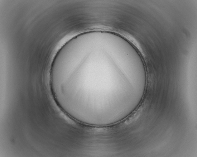 X0000112761381200910011207